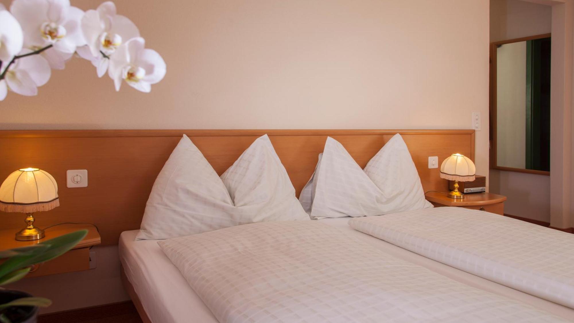 Hotel & Spa Cacciatori Cademario Rum bild